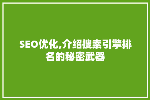 SEO优化,介绍搜索引擎排名的秘密武器