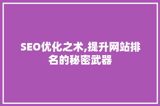 SEO优化之术,提升网站排名的秘密武器