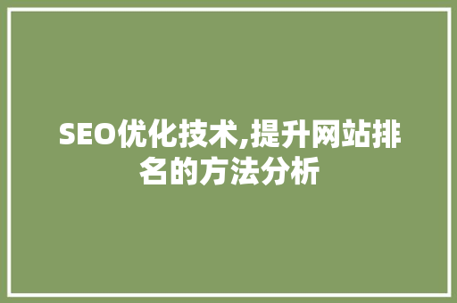 SEO优化技术,提升网站排名的方法分析