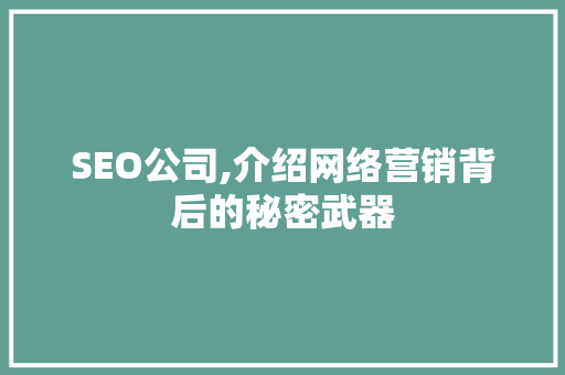 SEO公司,介绍网络营销背后的秘密武器