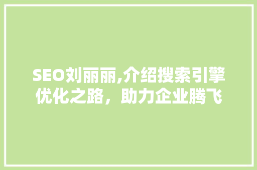 SEO刘丽丽,介绍搜索引擎优化之路，助力企业腾飞