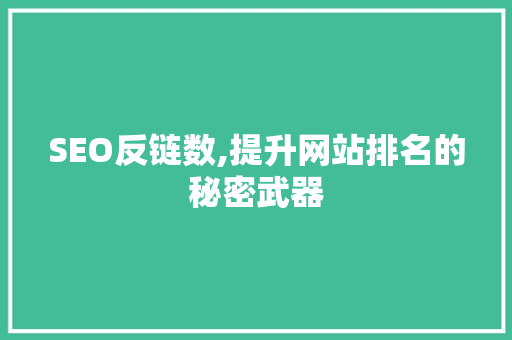 SEO反链数,提升网站排名的秘密武器