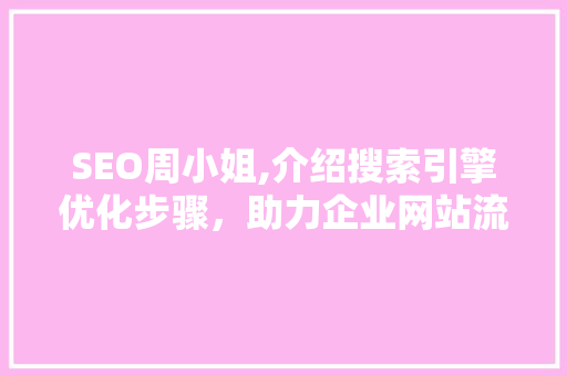 SEO周小姐,介绍搜索引擎优化步骤，助力企业网站流量翻倍