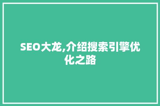 SEO大龙,介绍搜索引擎优化之路