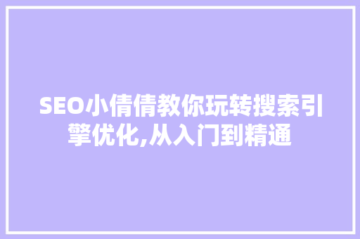 SEO小倩倩教你玩转搜索引擎优化,从入门到精通