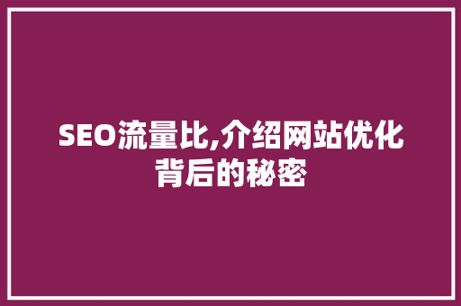 SEO流量比,介绍网站优化背后的秘密