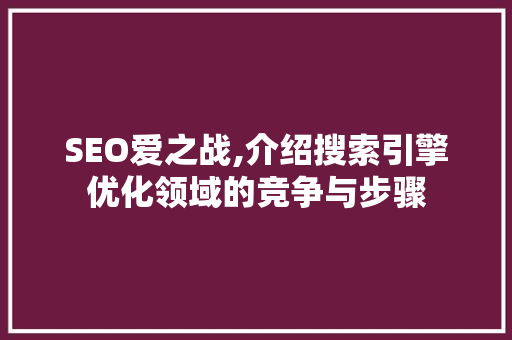 SEO爱之战,介绍搜索引擎优化领域的竞争与步骤