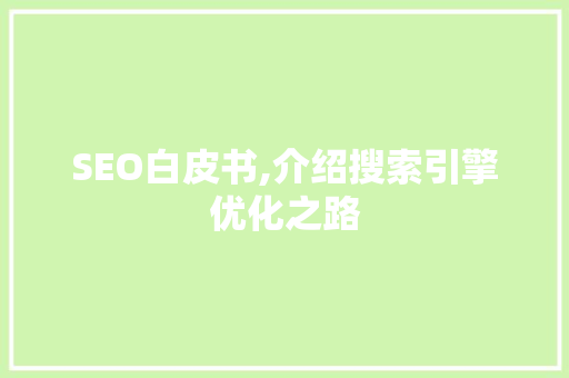 SEO白皮书,介绍搜索引擎优化之路
