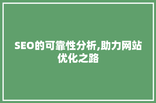 SEO的可靠性分析,助力网站优化之路
