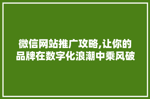 微信网站推广攻略,让你的品牌在数字化浪潮中乘风破浪