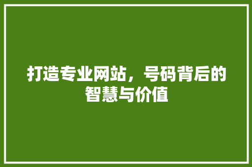 打造专业网站，号码背后的智慧与价值