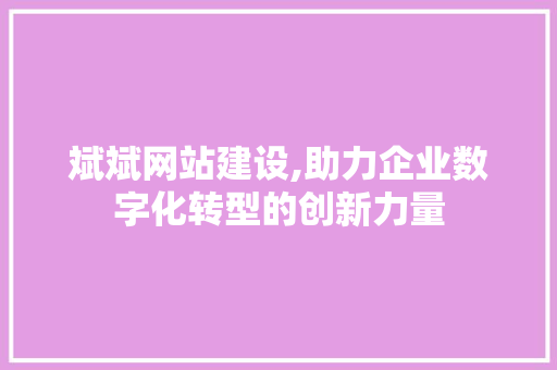 斌斌网站建设,助力企业数字化转型的创新力量