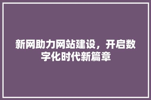新网助力网站建设，开启数字化时代新篇章