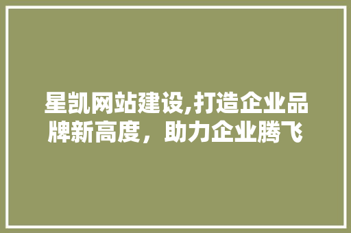 星凯网站建设,打造企业品牌新高度，助力企业腾飞