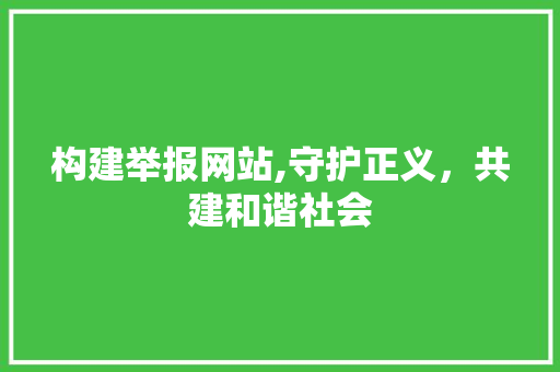 构建举报网站,守护正义，共建和谐社会