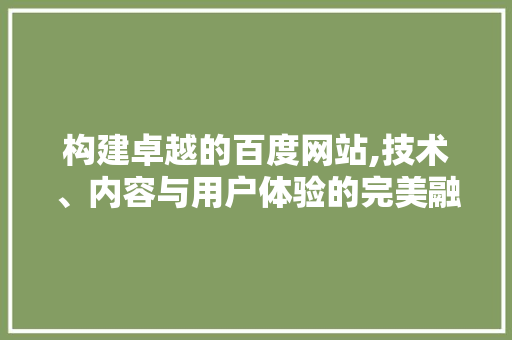 构建卓越的百度网站,技术、内容与用户体验的完美融合