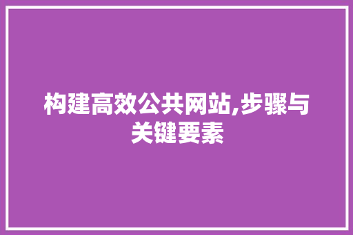 构建高效公共网站,步骤与关键要素