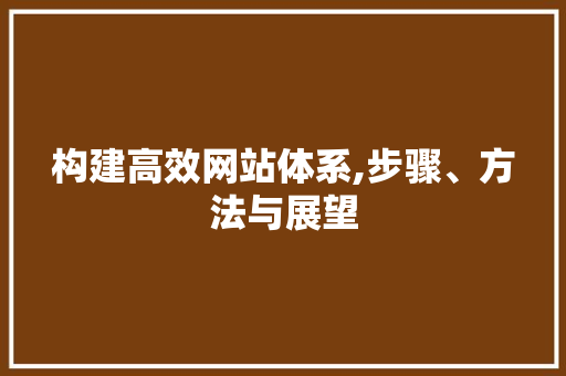 构建高效网站体系,步骤、方法与展望