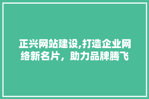 正兴网站建设,打造企业网络新名片，助力品牌腾飞