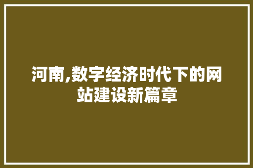 河南,数字经济时代下的网站建设新篇章
