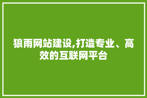 狼雨网站建设,打造专业、高效的互联网平台