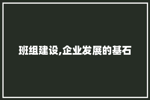 班组建设,企业发展的基石