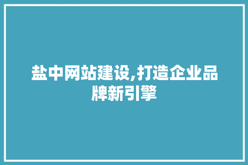 盐中网站建设,打造企业品牌新引擎