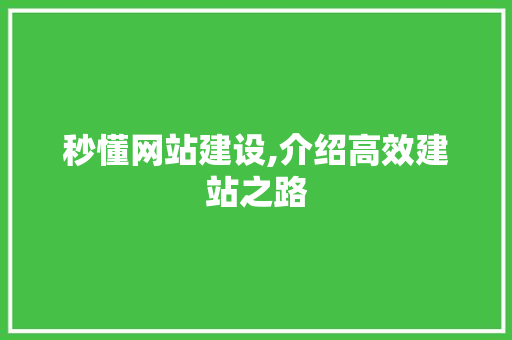 秒懂网站建设,介绍高效建站之路