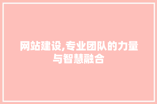 网站建设,专业团队的力量与智慧融合