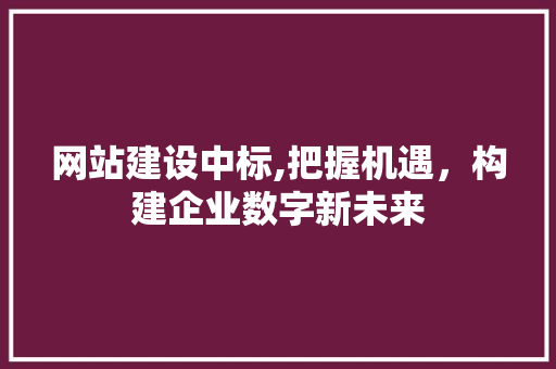 网站建设中标,把握机遇，构建企业数字新未来