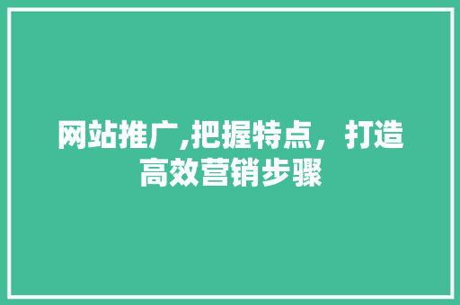 网站推广,把握特点，打造高效营销步骤