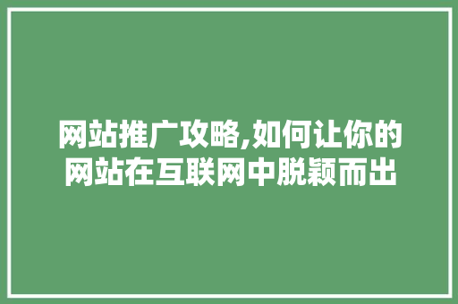 网站推广攻略,如何让你的网站在互联网中脱颖而出