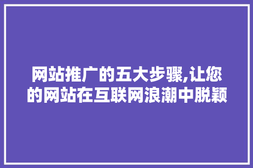 网站推广的五大步骤,让您的网站在互联网浪潮中脱颖而出