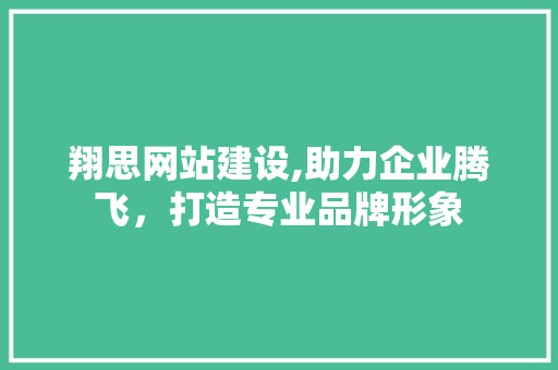 翔思网站建设,助力企业腾飞，打造专业品牌形象