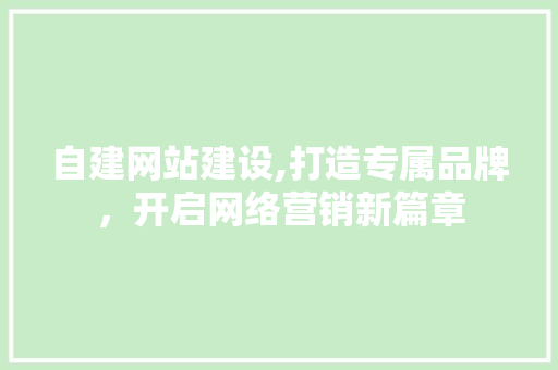 自建网站建设,打造专属品牌，开启网络营销新篇章