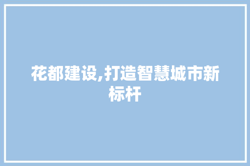 花都建设,打造智慧城市新标杆