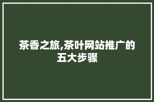 茶香之旅,茶叶网站推广的五大步骤