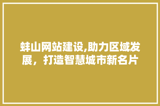 蚌山网站建设,助力区域发展，打造智慧城市新名片
