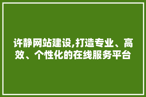 许静网站建设,打造专业、高效、个性化的在线服务平台