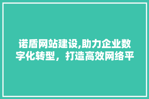 诺盾网站建设,助力企业数字化转型，打造高效网络平台