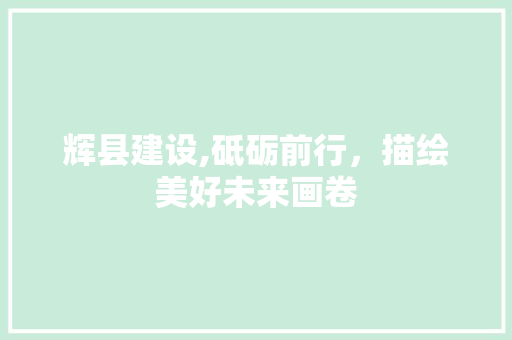 辉县建设,砥砺前行，描绘美好未来画卷