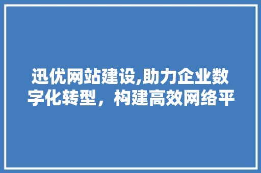 迅优网站建设,助力企业数字化转型，构建高效网络平台