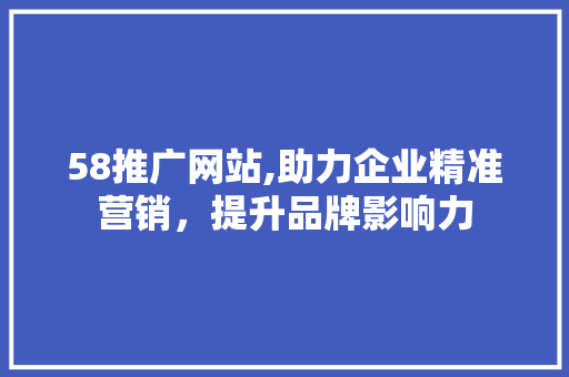 58推广网站,助力企业精准营销，提升品牌影响力
