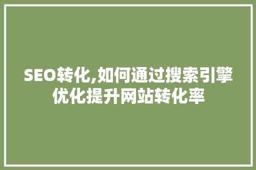 SEO转化,如何通过搜索引擎优化提升网站转化率