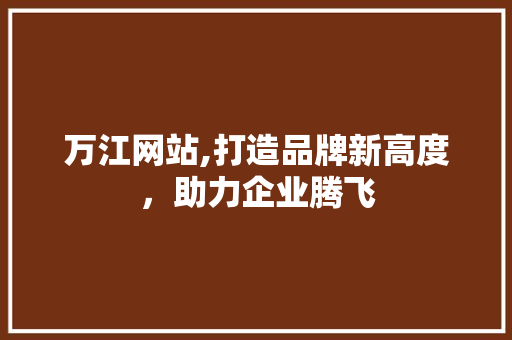 万江网站,打造品牌新高度，助力企业腾飞