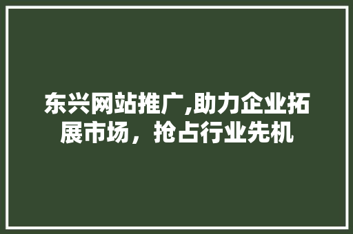 东兴网站推广,助力企业拓展市场，抢占行业先机