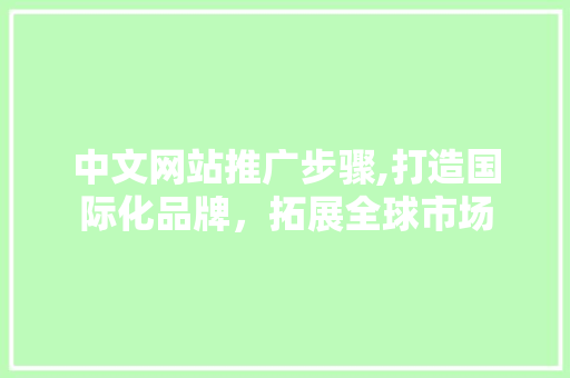 中文网站推广步骤,打造国际化品牌，拓展全球市场