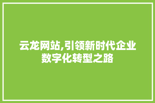 云龙网站,引领新时代企业数字化转型之路