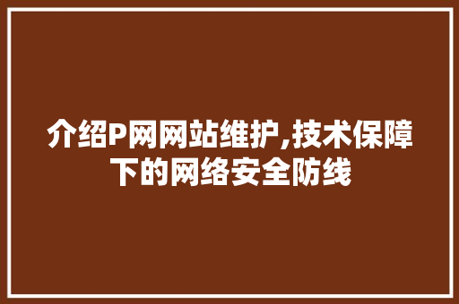 介绍P网网站维护,技术保障下的网络安全防线