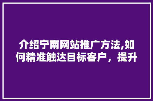 介绍宁南网站推广方法,如何精准触达目标客户，提升品牌影响力